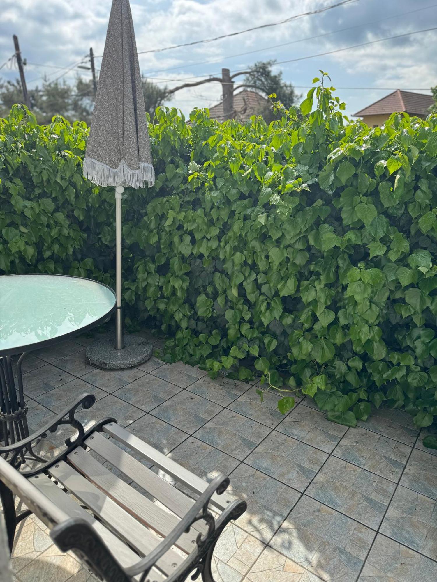 Aparthotel Pelini középső à Szentendre Extérieur photo