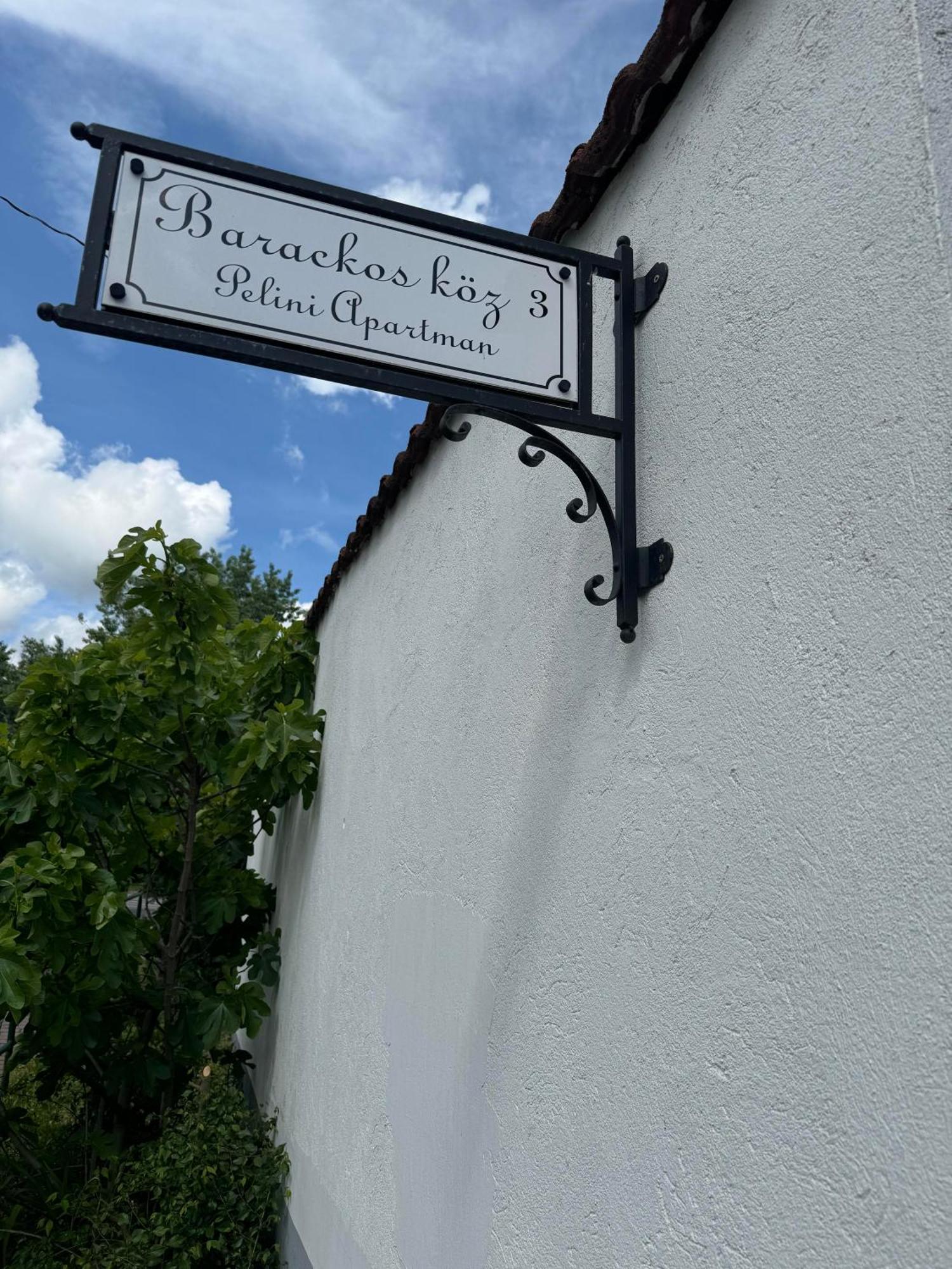 Aparthotel Pelini középső à Szentendre Extérieur photo